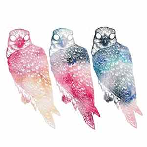 FLAC Flyying Colours - Mindfullness
