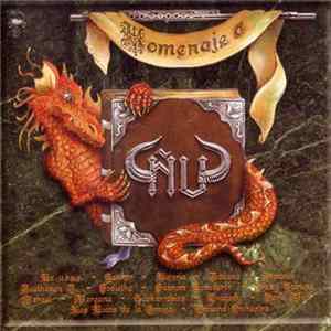 FLAC Various - Homenaje A Ñu