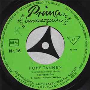 FLAC Eberhardt-Trio, Orchester Herbert Wilden - Hohe Tannen