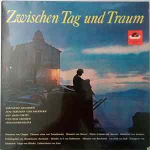 FLAC Hans Carste Und Das Grosse Streichorchester - Zwischen Tag Und Traum