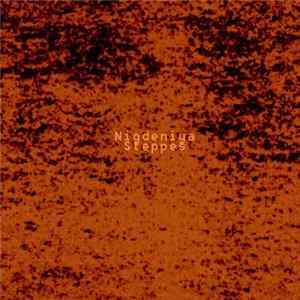 FLAC Nigdeniya - Steppes
