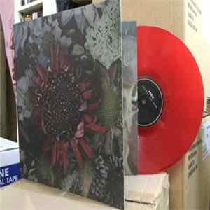FLAC Protest The Hero - Kezia