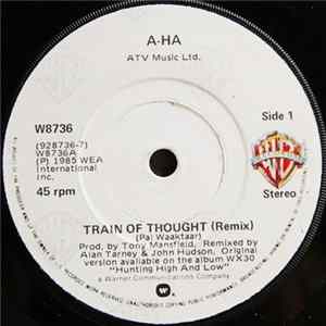 FLAC a-ha - Train Of Thought (Remix)