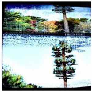 FLAC Burnside Project - The Networks, The Circuits, The Streams, The Harmonies