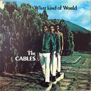 FLAC The Cables - What Kind Of World