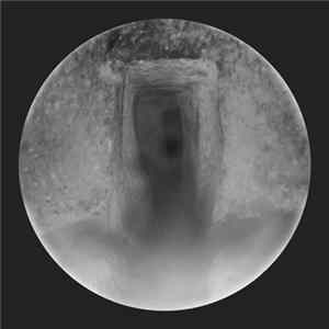 FLAC Dahakara - Other Rooms