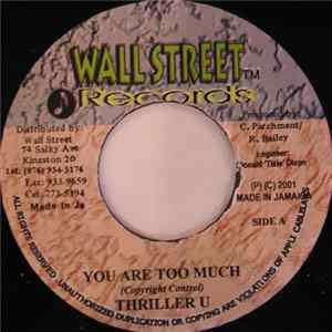 FLAC Thriller U - You Are Too Much