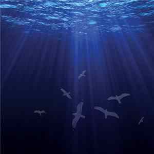 FLAC Stone In - The Drop And The Sea