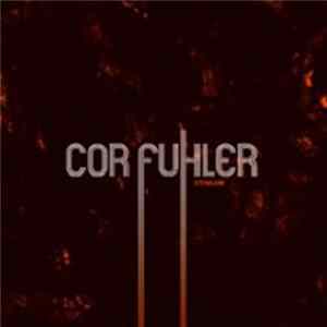 FLAC Cor Fuhler - Stengam