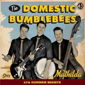 FLAC The Domestic Bumblebees - Mahtilda