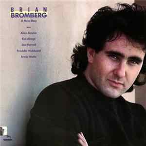 FLAC Brian Bromberg - A New Day