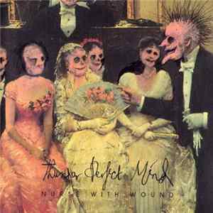 FLAC Nurse With Wound - Thunder Perfect Mind