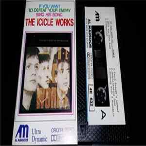 FLAC The Icicle Works - If You Want To Defeat Your Enemy Sing His Song