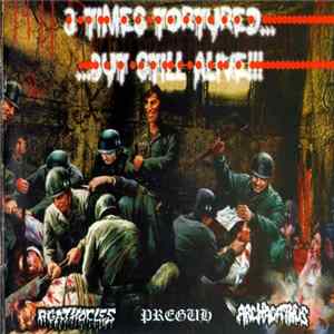FLAC Agathocles / Preguh / Archagathus - 3 Times Tortured... ...But Still Alive!!!