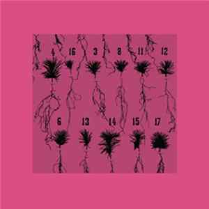 FLAC Thomalla - Imaginary Solutions