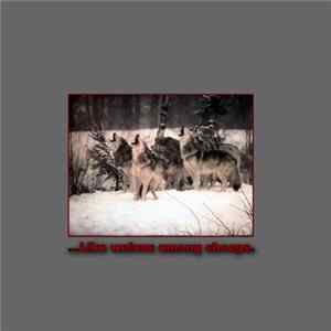 FLAC Various - ...Like Wolves Among Sheeps.