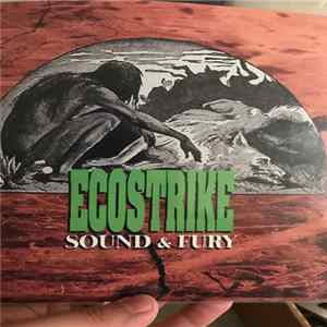 FLAC Ecostrike - Time Is Now
