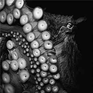 FLAC Skein - Deadweight