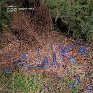 FLAC Artificial Memory Trace - Currents