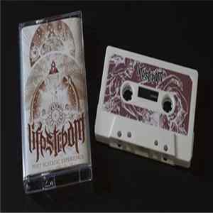 FLAC Lifestream - Post Ecstatic Experience