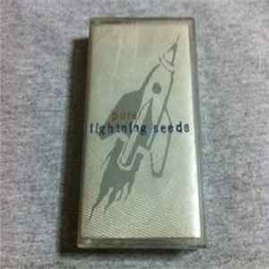 FLAC Lightning Seeds - Pure