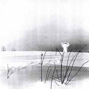FLAC Timo Rautiainen & Trio Niskalaukaus - Itku Pitkästä Ilosta