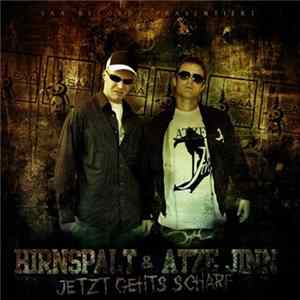 FLAC Hirnspalt & Atze Jinn - Jetzt Gehts Scharf