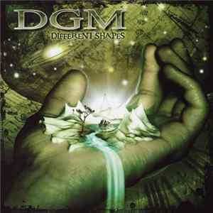 FLAC DGM - Different Shapes