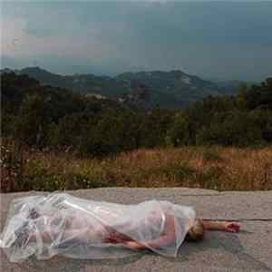 FLAC Harps Of Fuchsia Kalmia - Time Of Love Doesn't Converge With The System Of Evil