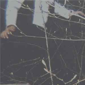 FLAC Cemeteries - The Wilderness