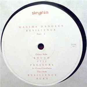 FLAC Maxime Dangles - Resilience Part I