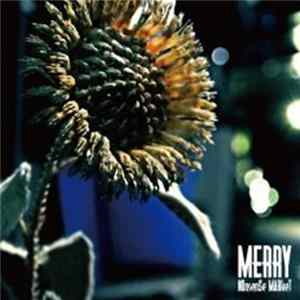 FLAC Merry - NOnsense MARkeT
