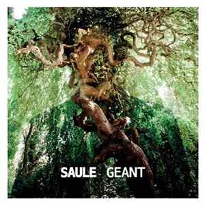 FLAC Saule - Géant