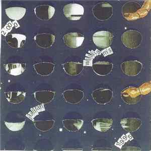 FLAC Julian Williams - Leaf Rain (1995-2000) Solo Works