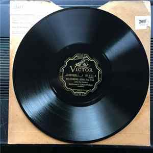 FLAC McKinney's Cotton Pickers - Milenberg Joys / Shim-Me-Sha-Wabble