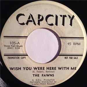 FLAC The Fawns - Wish You Were Here With Me