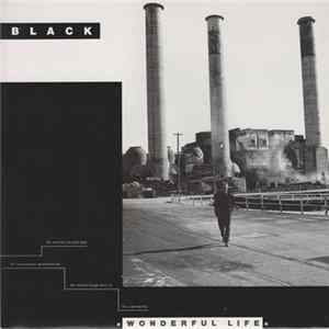FLAC Black - Wonderful Life