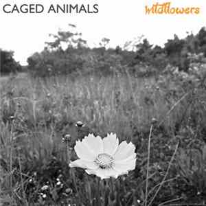 FLAC Caged Animals - Wildflowers