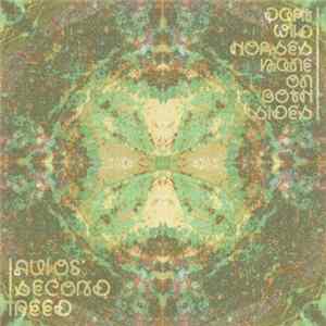 FLAC Part Wild Horses Mane On Both Sides - Aulos' Second Reed