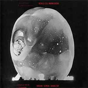FLAC Sickle Cell Maneuvers - Dream Semen Dadaism