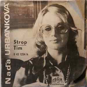FLAC Naďa Urbánková - Strop / Tim