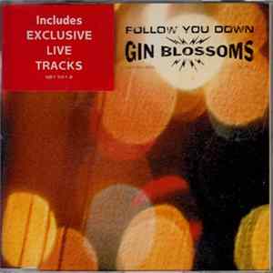 FLAC Gin Blossoms - Follow You Down