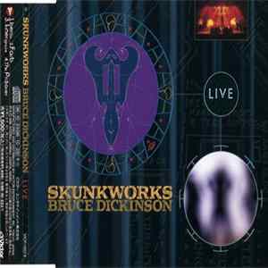FLAC Bruce Dickinson - Skunkworks Live