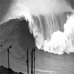 FLAC L.U.D. - Playa Peligro