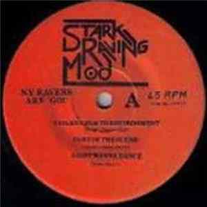 FLAC N.Y. Ravers - Are 'Go!'