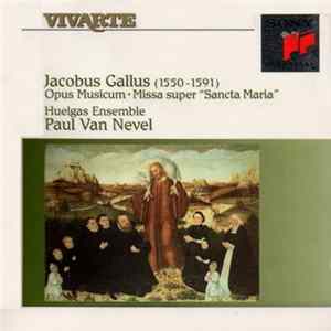 FLAC Jacobus Gallus - Huelgas Ensemble, Paul Van Nevel - Opus Musicum • Missa Super "Sancta Maria"