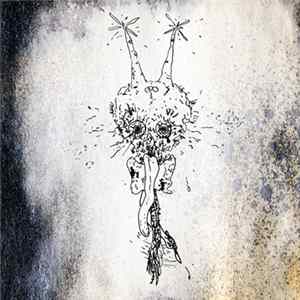 FLAC Bardo Pond - Refulgo