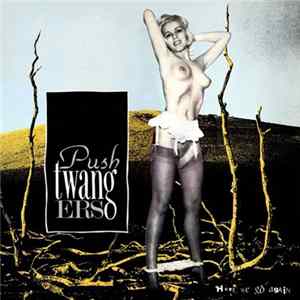 FLAC Pushtwangers - Here We Go Again