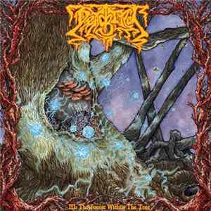 FLAC Deadbird - III: The Forest Within The Tree