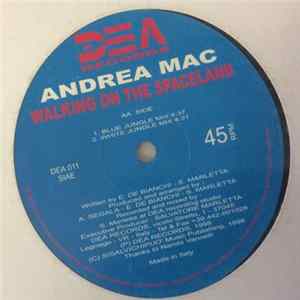 FLAC Andrea Mac - Walking On The Spaceland
